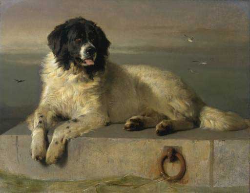 "A Distinguished Member of the Humane Society", Sir Edwin Landseer 1831